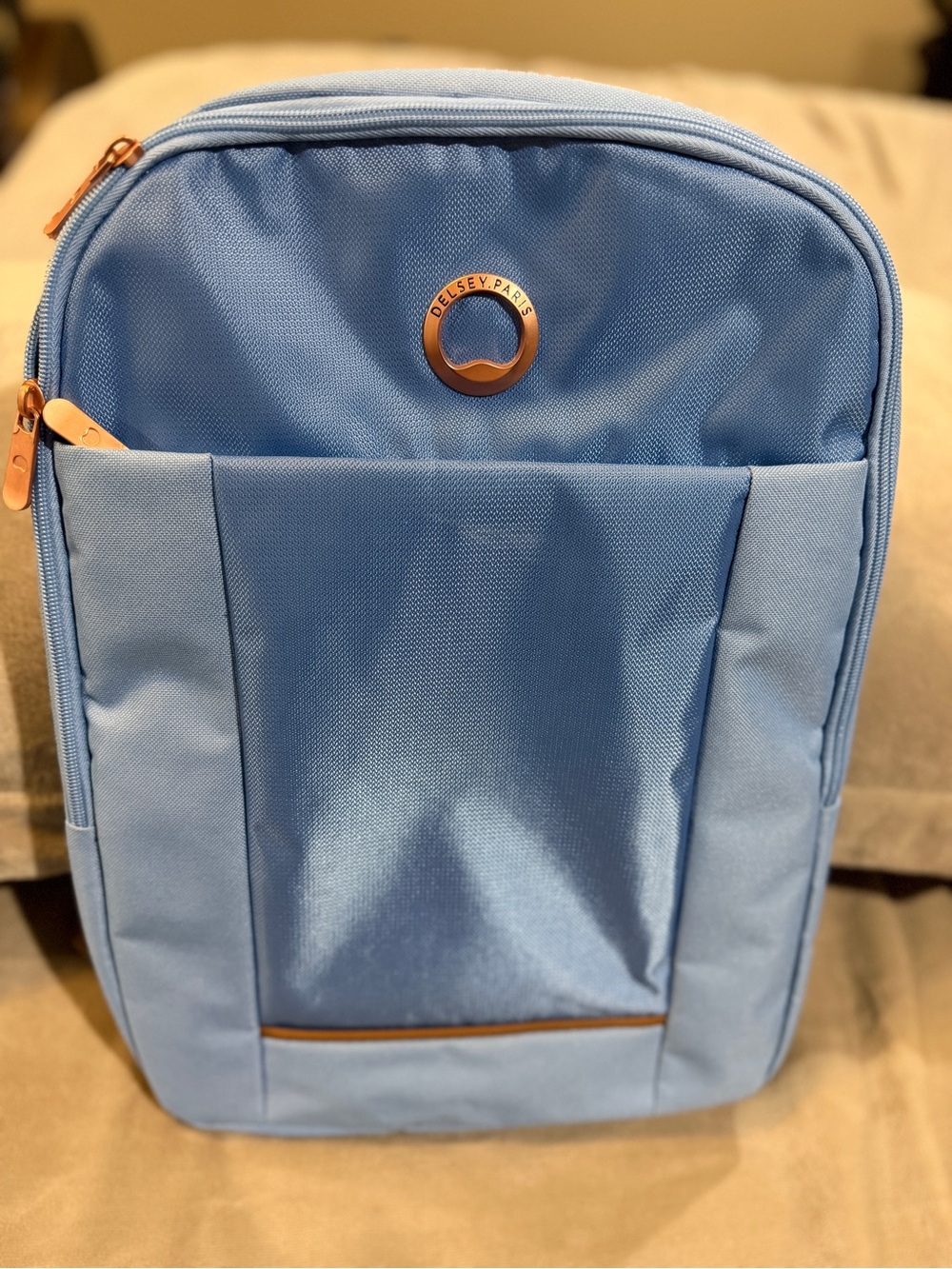 Delsey Paris Light Blue Laptop Backpack for Women